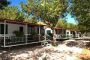 Camping Alberello - Riccione Emilia Romagna