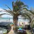 Villaggio Almar - Vieste - Foggia - Puglia