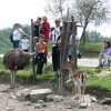 Un gruppo osserva uno struzzo e un cervo dietro una recinzione.