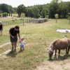 Famiglia con pony in un prato verde.