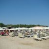 Pet Family Camping Cortina (AN) Marche