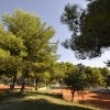 Campi da tennis circondati da alberi verdi.