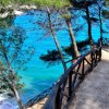 Sentiero tra alberi con vista sul mare.