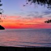 Tramonto sul mare con silhouette di alberi.