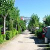 Viale alberato in un campeggio.