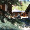 Rami di pino vicino a chalet in legno.