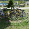 Biciclette gialle e viola parcheggiate su un prato.