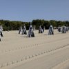 Una spiaggia deserta con lettini pieghevoli chiusi allineati sulla sabbia, alberi sullo sfondo.