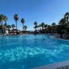 Una piscina circondata da palme e persone che nuotano, sotto un cielo terso.