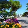 Lido Del Mare Camping Village (FG) Puglia