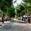 La Pineta Camping Village (TP) Sicilia