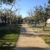 Camping Villaggio Il Frutteto (AP) Marche