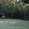 Un campo sportivo all'aperto circondato da alberi.