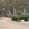 Camping Cala D'ostia (CA) Sardegna