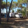 Camping Cala D'ostia (CA) Sardegna