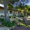 Bungalow con terrazza immersi nel verde, circondati da piante e alberi.