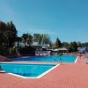 Piscina con lettini rossi e palme.