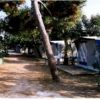 Camping Golden Garden (LT) Lazio