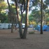 Area camping con camper e tende tra gli alberi.