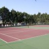 Campo da tennis con alberi intorno.