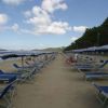 Spiaggia sabbiosa con file di ombrelloni e lettini blu, vicino a una pineta.