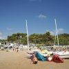 Spiaggia con barche e alberi verdi.