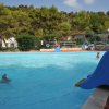 Piscina per bambini con scivolo a forma di delfino.