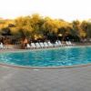 Una piscina all'aperto circondata da lettini, con alberi intorno e persone che nuotano.