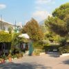 Vialetto alberato in un giardino con edifici bassi sulla sinistra.
