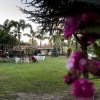 Giardino con palme, sedie bianche e fiori in primo piano.