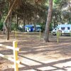 Area campeggio con camper tra alberi.