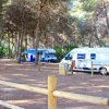 Camper parcheggiati in area camping tra gli alberi.