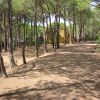 Pini E Mare Camping Village (CA) Sardegna