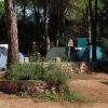 Pini E Mare Camping Village (CA) Sardegna