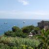 Villaggio Camping Nettuno (NA) Campania