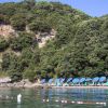 Villaggio Glamping La Francesca Sud (SA) Campania