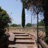 Scalinata di pietra tra alberi e cespugli, con un alto cipresso in lontananza.