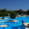Piscina all'aperto con palme e persone che nuotano.