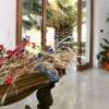 Hotel Mira Villaggio (FG) Puglia