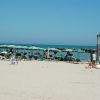 Spiaggia sabbiosa con ombrelloni verdi e lettini, mare calmo sullo sfondo.