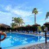 Piscina con sedie a sdraio e palme tropicali.