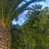 La Conchiglia Residence (FG) Puglia