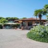 Edificio con tetto in tegole, palme e piante.