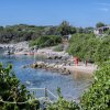 Una spiaggia rocciosa con vegetazione e persone.