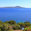 Mare blu con isola all'orizzonte e vegetazione in primo piano.