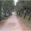 Camping Ain El Gazala (LT) Lazio