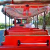 Interno di un trenino con un passeggero in cappello.