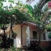 Casa con giardino rigoglioso, palme e bouganville.