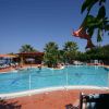 Una piscina all'aperto circondata da lettini, alberi e fiori, con persone che nuotano.