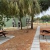 Tavoli da picnic e barbecue tra gli alberi in un'area all'aperto.